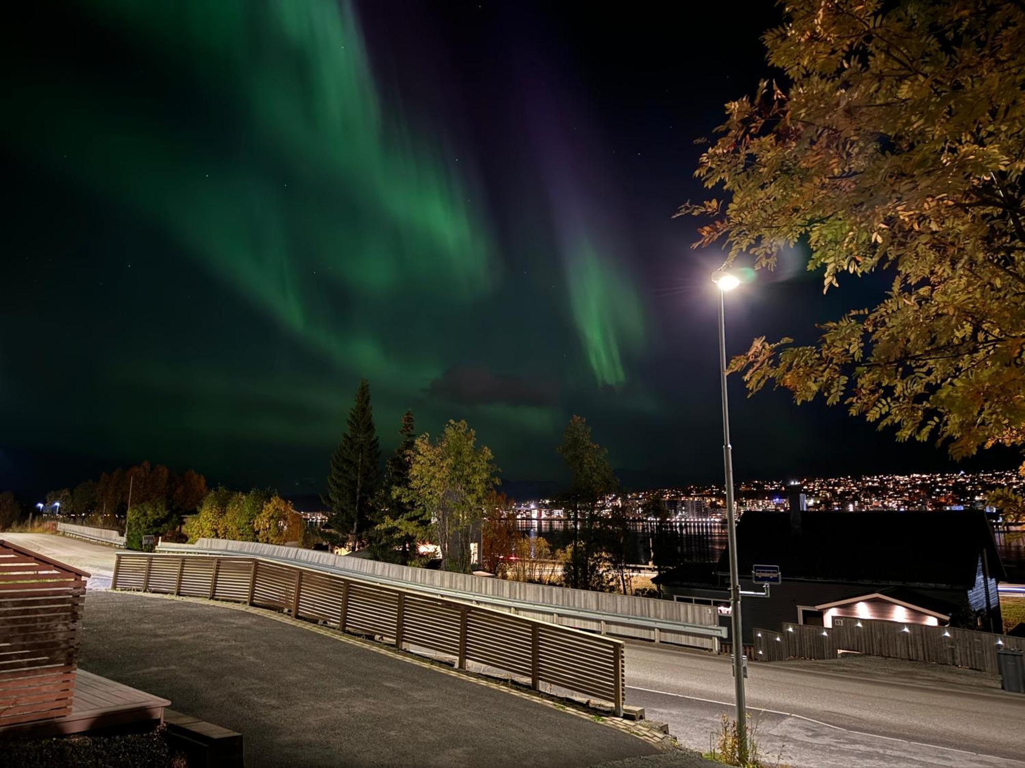 Sentralt Pa Fastlandet Og Gaavstand Til Alle Fasiliteter! Tromsdalen Ngoại thất bức ảnh